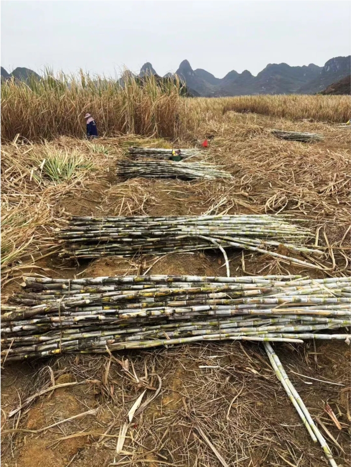 微信截图_20250221160135.png
