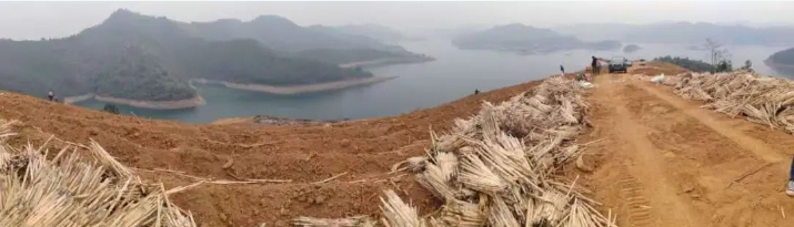 微信截图_20250310155829.png