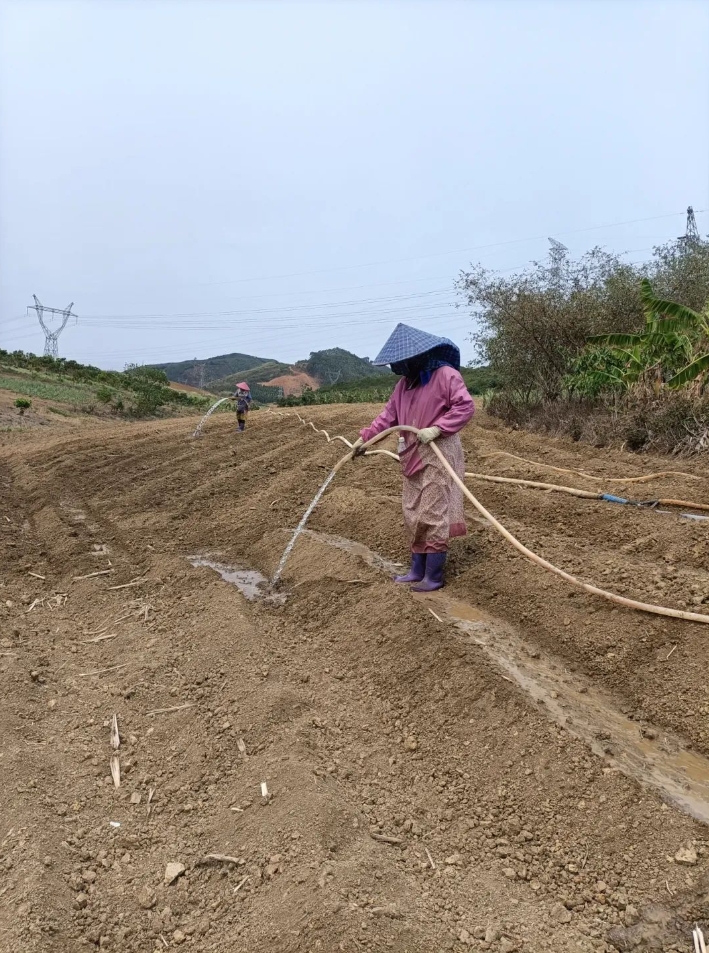 微信截图_20250310155800.png