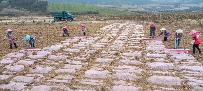 微信截图_20250310155858.png